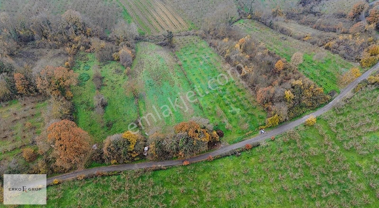 Erko Grup Gayrimenkul Den Şeyhler Mah 29,300 M2 Satılık Arazi - Görsel 2