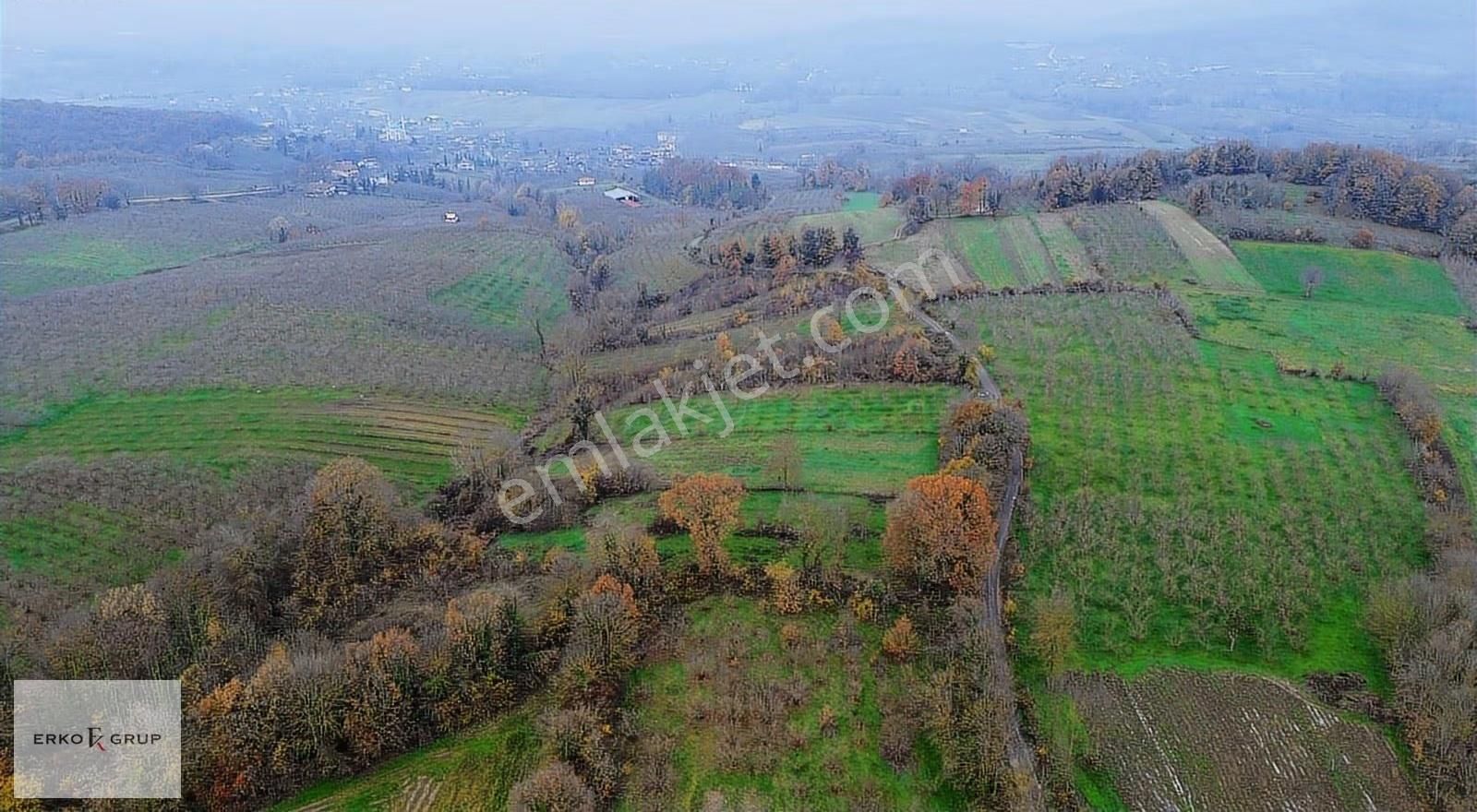 Erko Grup Gayrimenkul Den Şeyhler Mah 29,300 M2 Satılık Arazi - Görsel 8
