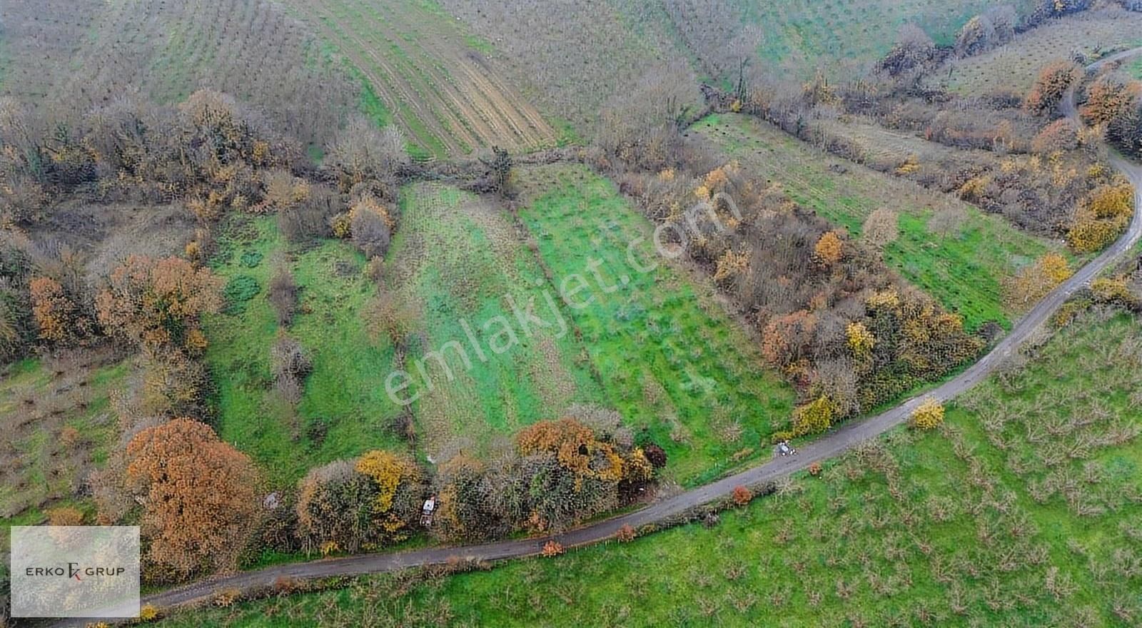 Erko Grup Gayrimenkul Den Şeyhler Mah 29,300 M2 Satılık Arazi - Görsel 10