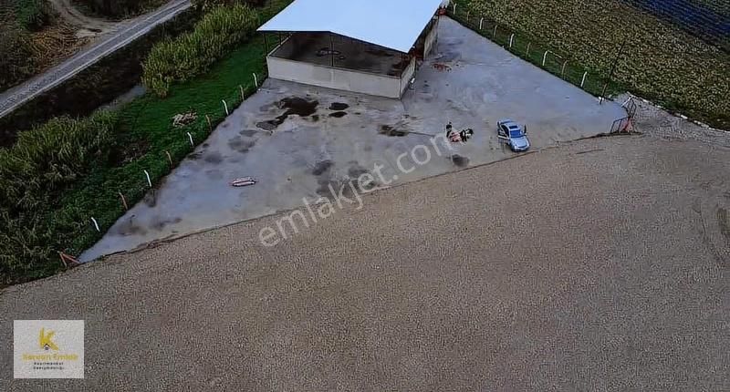 Turgutlu 9.mıntıkada 3.770 M² Satılık İşletme Alanı Fırsatı! - Görsel 3