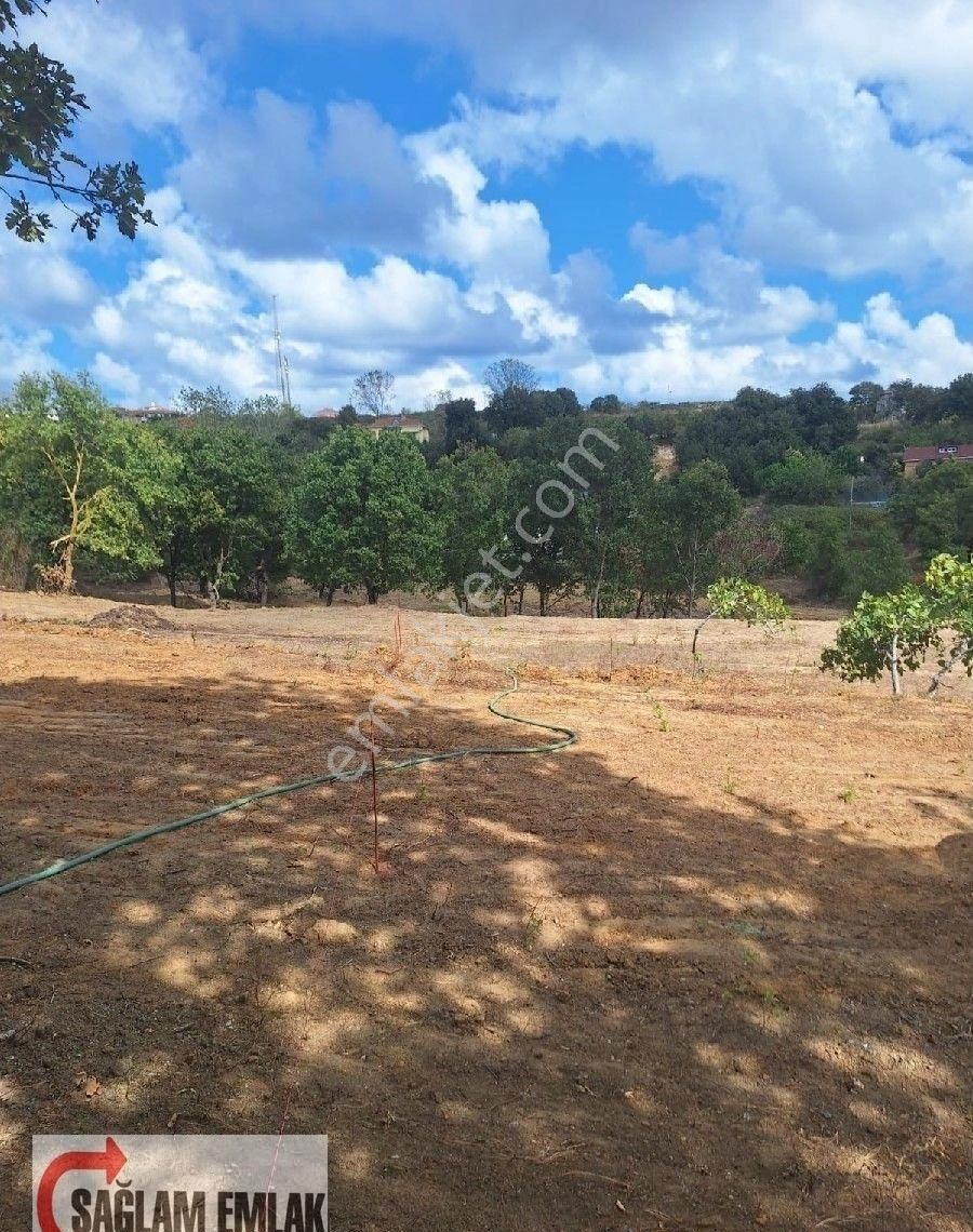 Bahcekoy Sağlam Gayrimenkul 'den Yatırıma Uygun Satilik Tarla Sariyer Gumusdere - Görsel 3