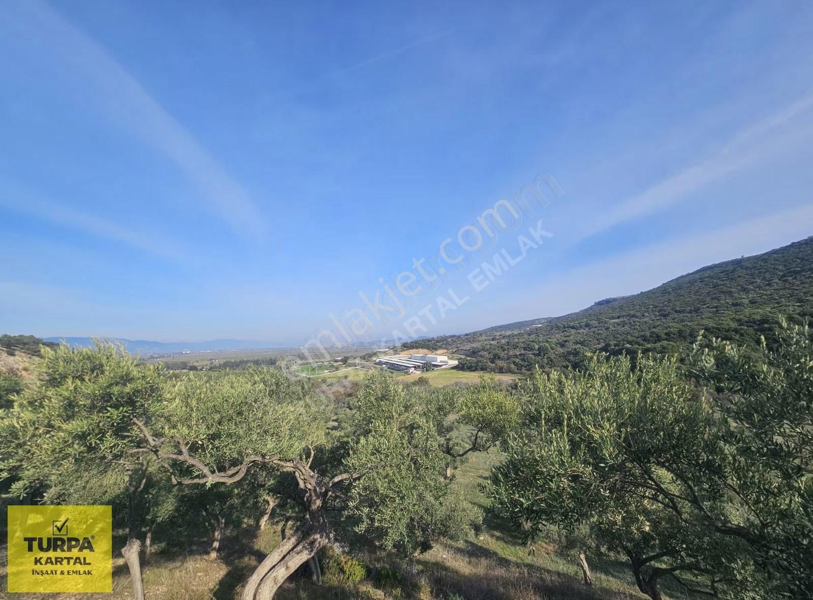 Didim'de 39 Dönüm İmara Sınır Tarla - Görsel 7