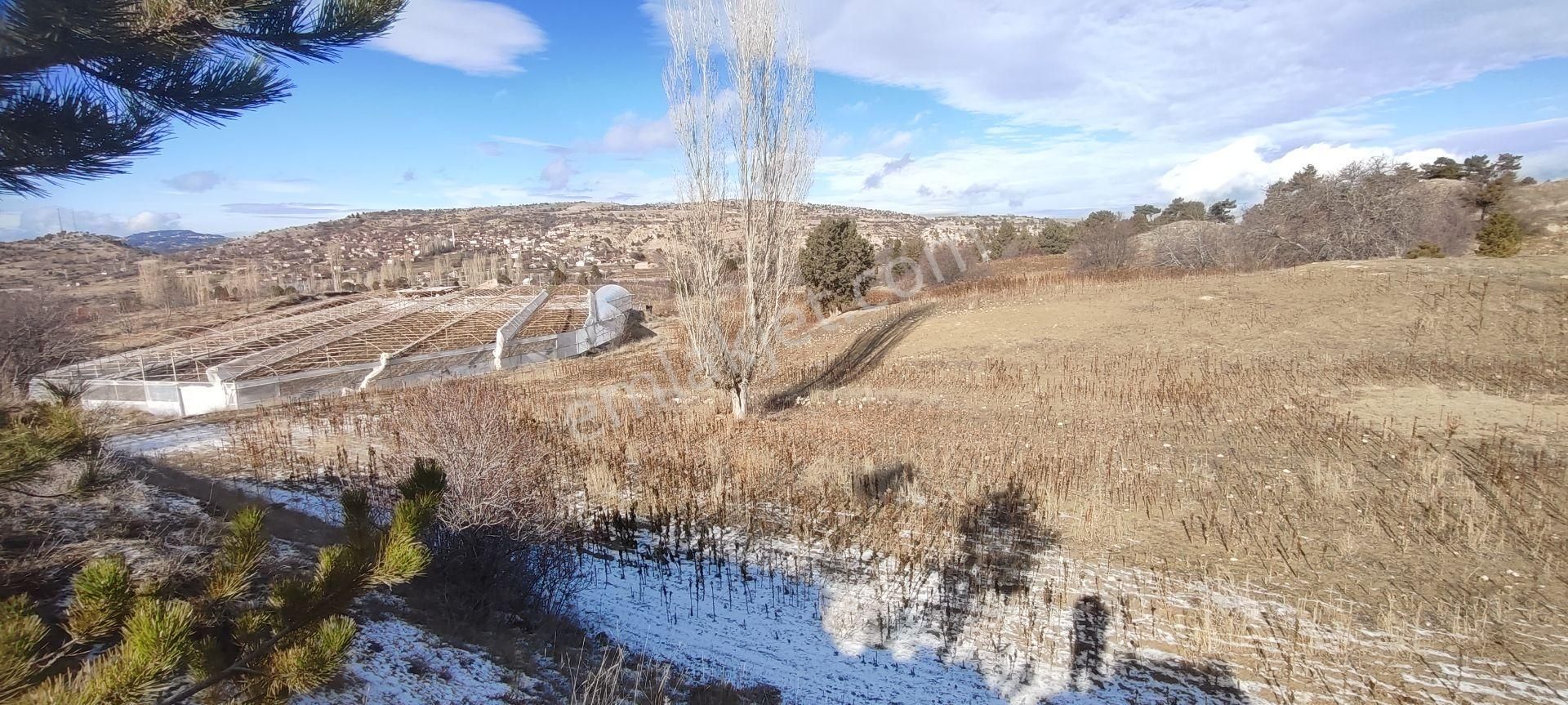 Çameli Cumaalanı 30 Dönüm Tek Tapu Yola Sıfır Tarla