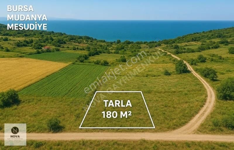 Nova'dan Mudanya Mesudiye Denize-ana Yola Yakın 180m2 Tarla