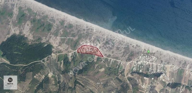 Nova'dan Mudanya Mesudiye Denize-ana Yola Yakın 180m2 Tarla - Görsel 2