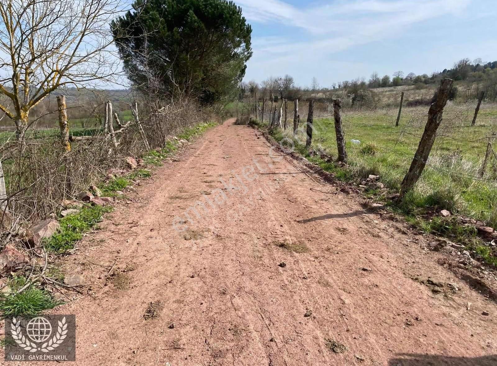 Vadi Gayrimenkul Den Safali Köyün De Kupon Yer