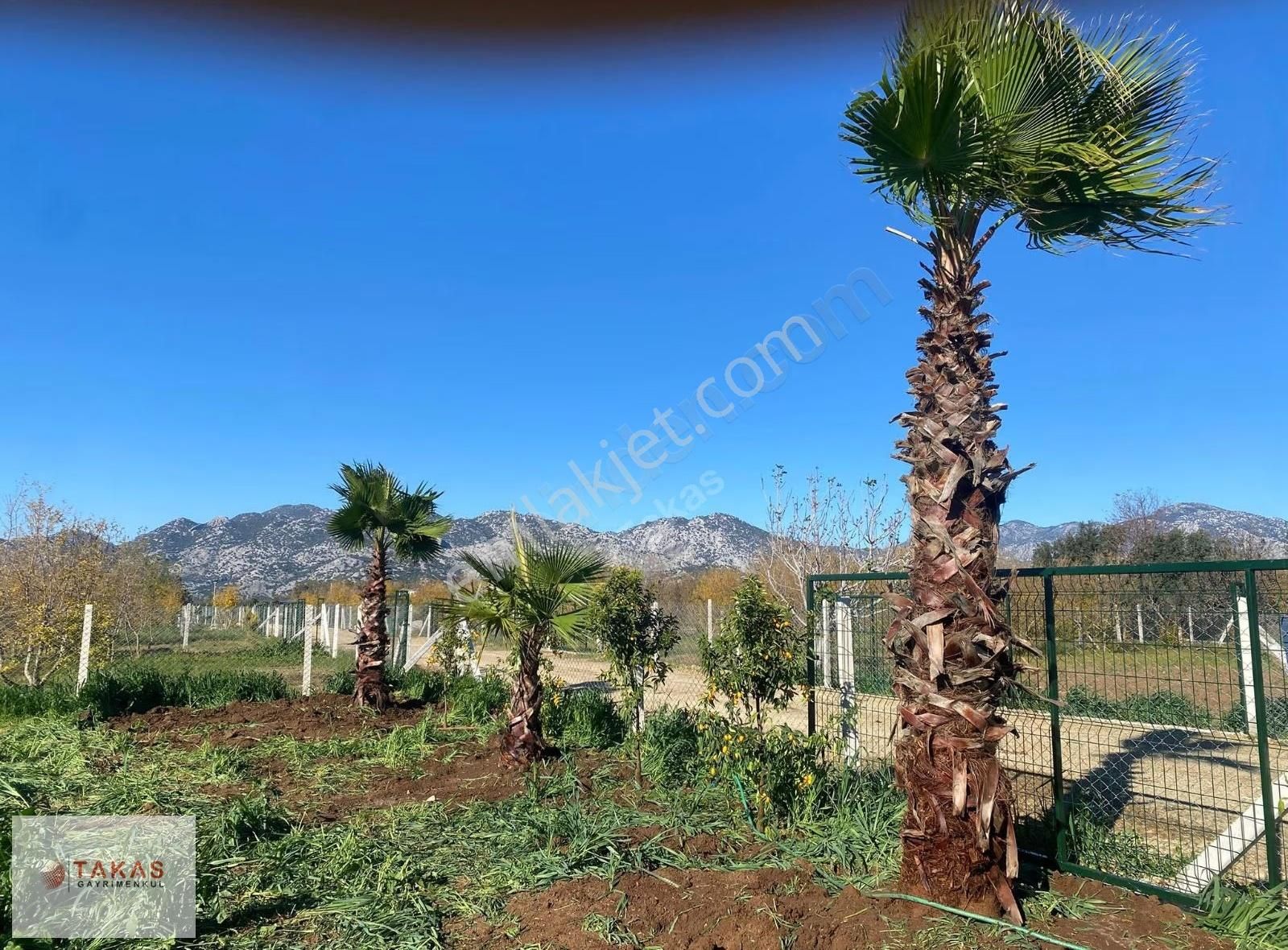 Ilıcada Harika Parseller Asfalta Sıfır Araç Ve Ev Takasli - Görsel 13