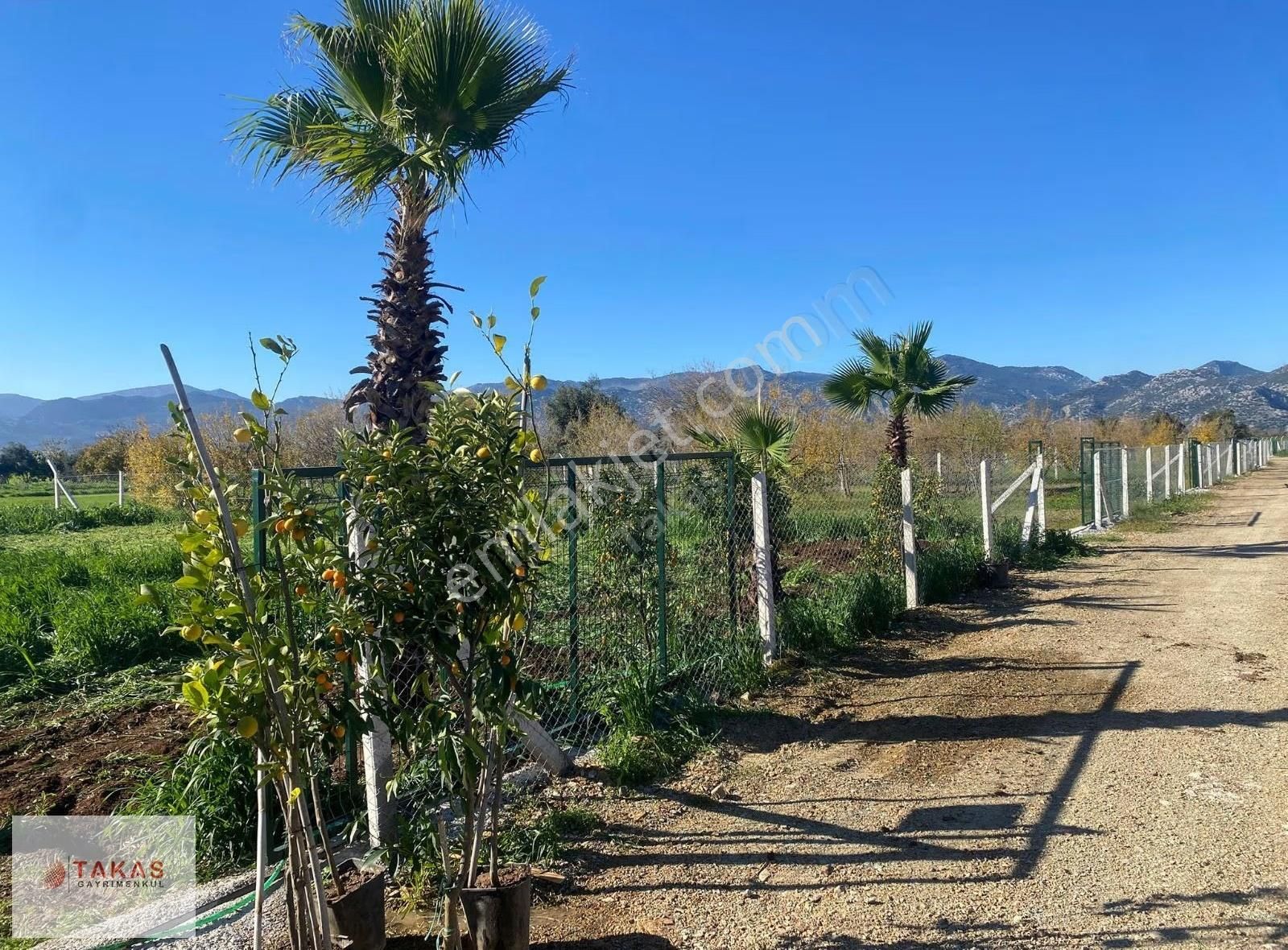 Ilıcada Harika Parseller Asfalta Sıfır Araç Ve Ev Takasli - Görsel 5