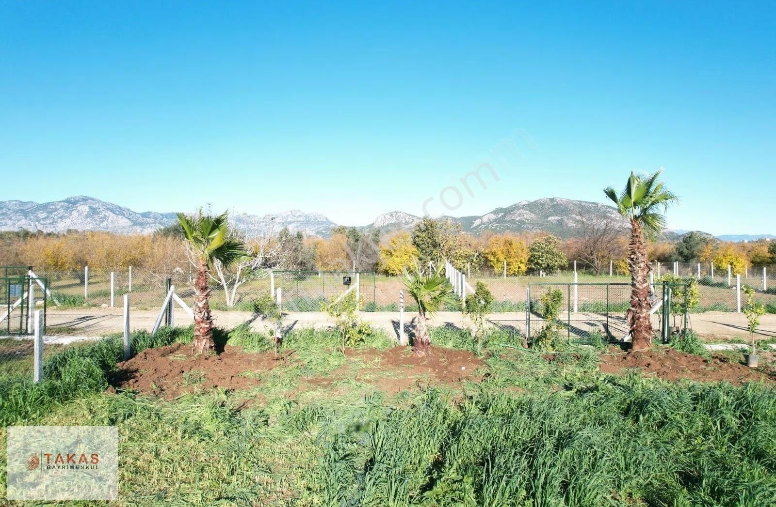 Ilıcada Harika Parseller Asfalta Sıfır Araç Ve Ev Takasli - Görsel 14