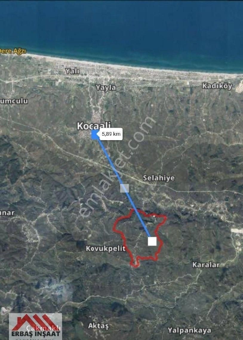 Sakarya Kocaali Karapelit Köyü Yol Üstü Satılık Fındık Bahçesi - Görsel 6