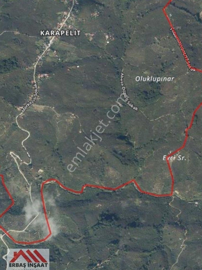 Sakarya Kocaali Karapelit Köyü Yol Üstü Satılık Fındık Bahçesi - Görsel 5