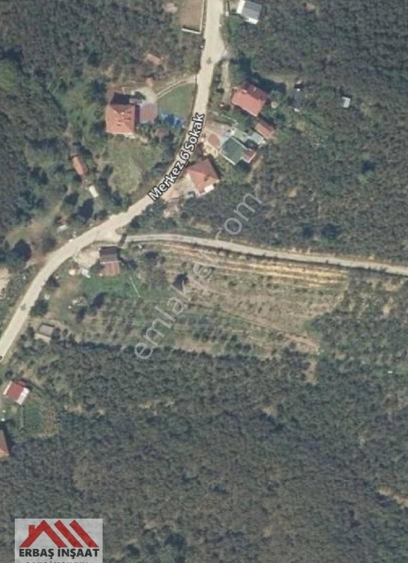 Sakarya Kocaali Karapelit Köyü Yol Üstü Satılık Fındık Bahçesi - Görsel 4