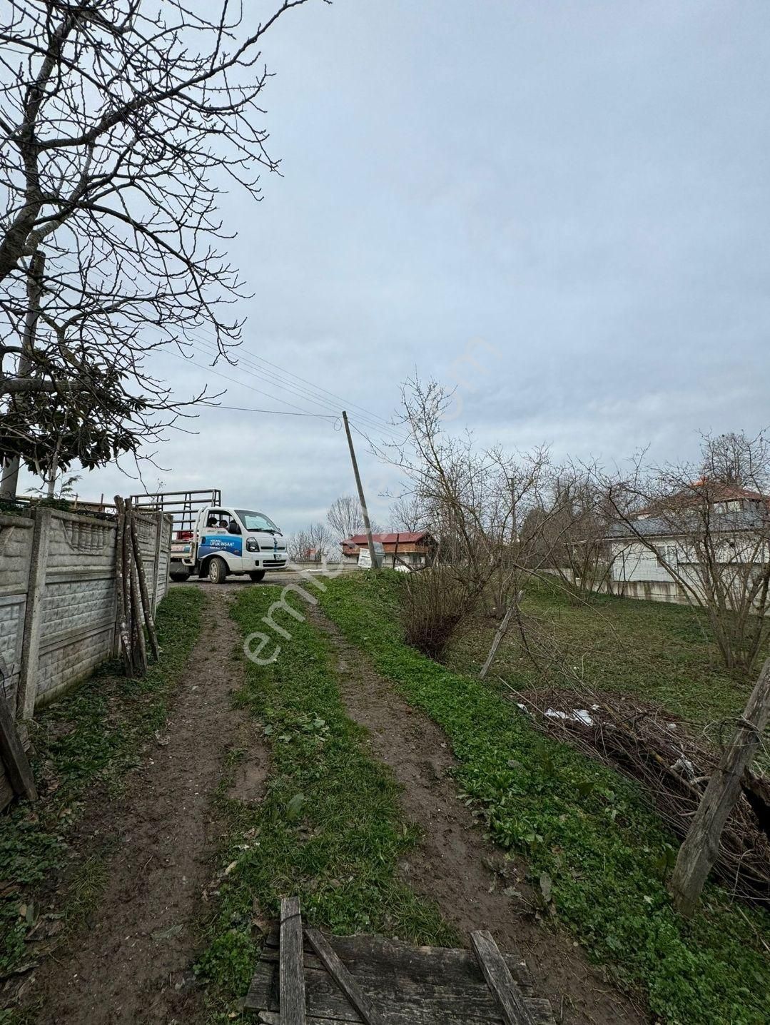 Sakarya Kocaali,de Satılık İmarlı Fındık Bahçesi - Görsel 19