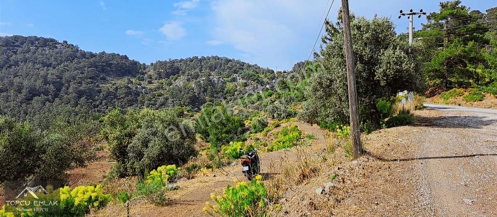 Gökbelde Satılık Tamamı Deniz Gören 28 Dönüm Tek Tapu Tarla - Görsel 5