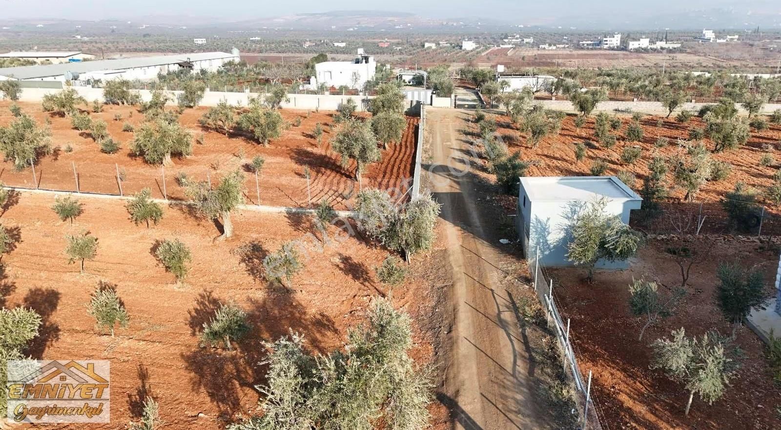 Emniyet Gayrimenkul Satılık Akçabağlarda Bağ Evlik Zeytinlik - Görsel 6