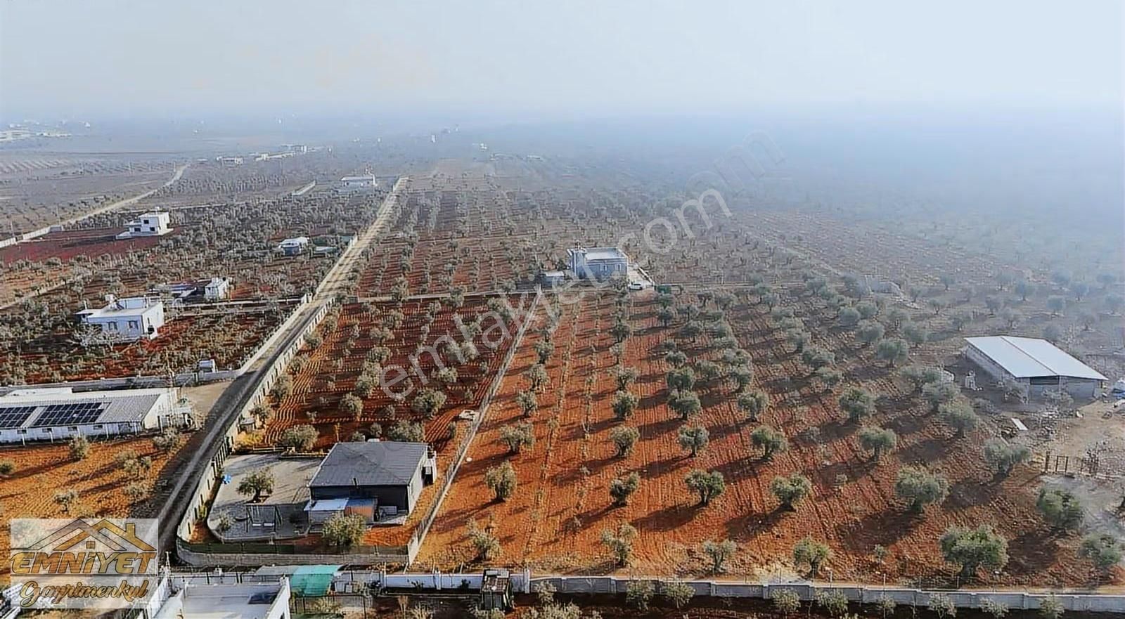 Emniyet Gayrimenkul Satılık Akçabağlarda Bağ Evlik Zeytinlik - Görsel 19