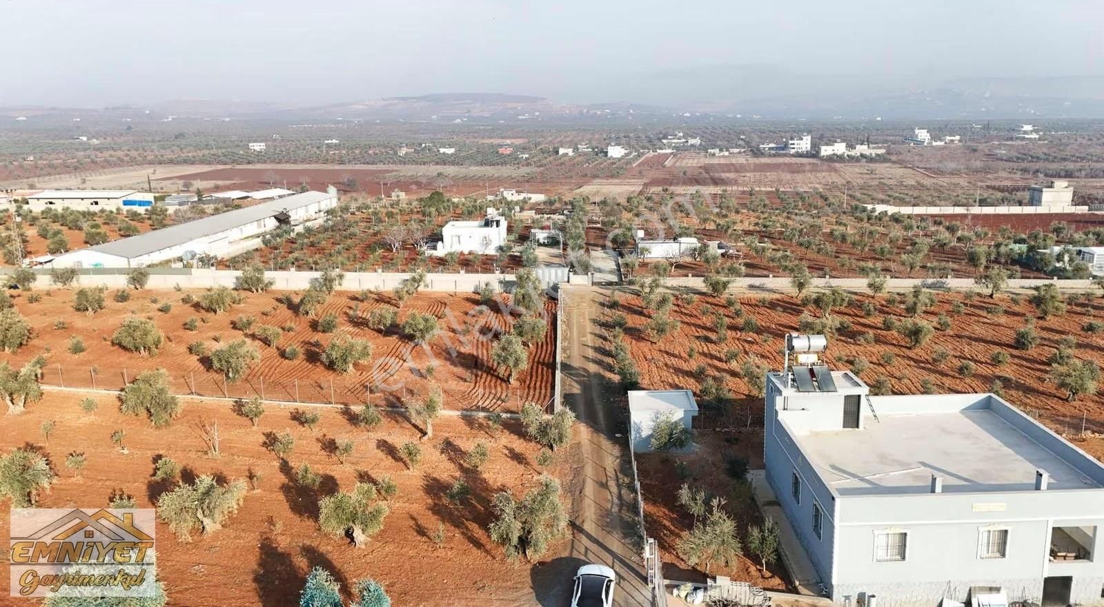 Emniyet Gayrimenkul Satılık Akçabağlarda Bağ Evlik Zeytinlik - Görsel 18