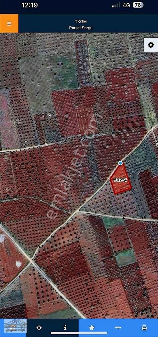 Satılık Fırsat M.rıfat Kazancıoğlunda Fıstık 2600m2 Resmi Yol - Görsel 2