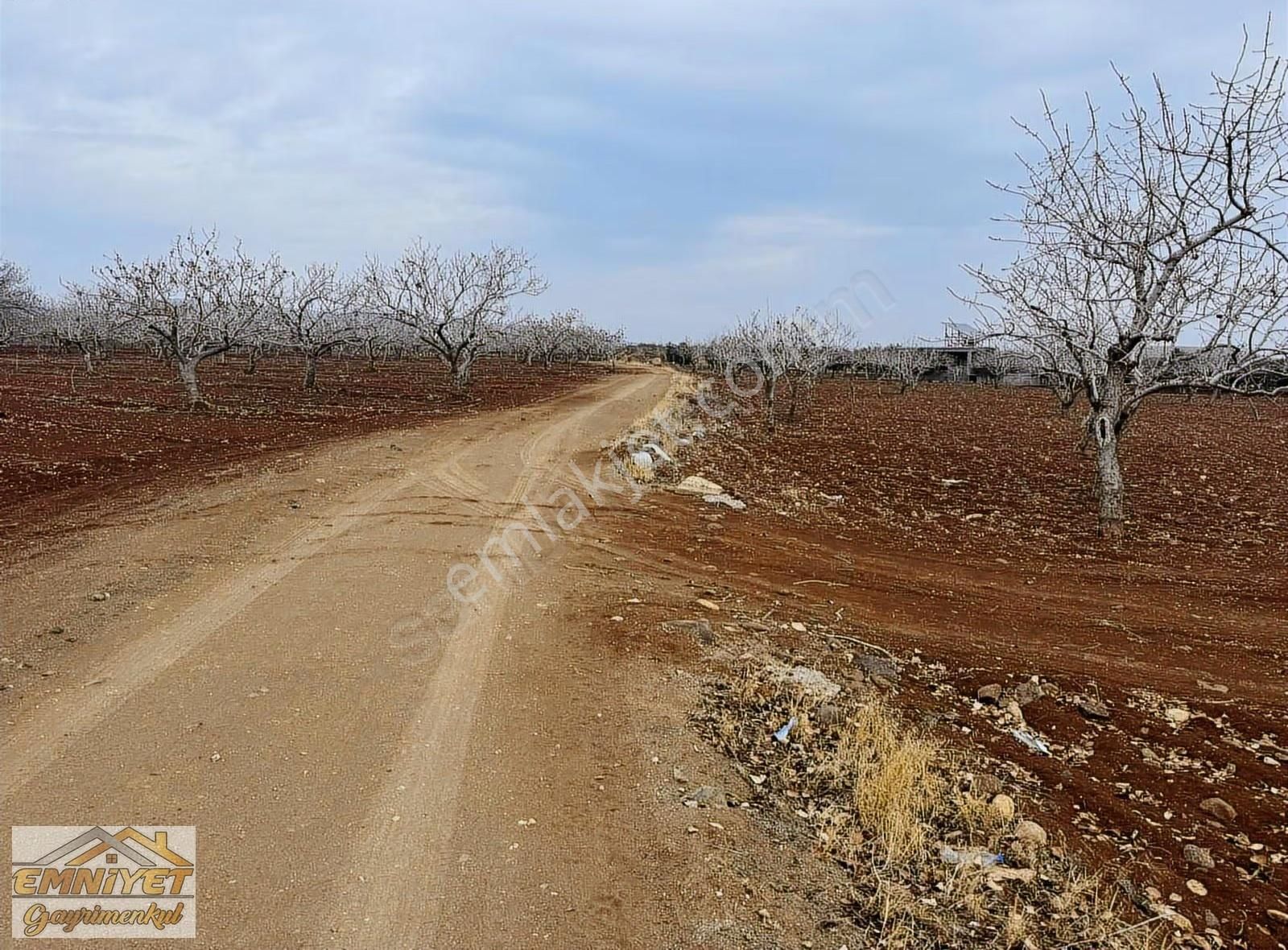 Satılık Fırsat M.rıfat Kazancıoğlunda Fıstık 2600m2 Resmi Yol - Görsel 10