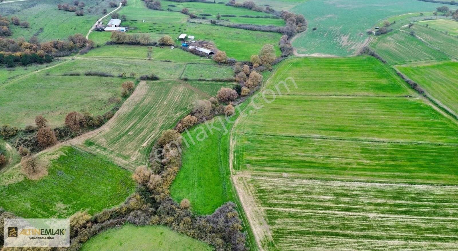 İdriskoru 'da Arsa Parasına " 3 Dönüm " - Görsel 6