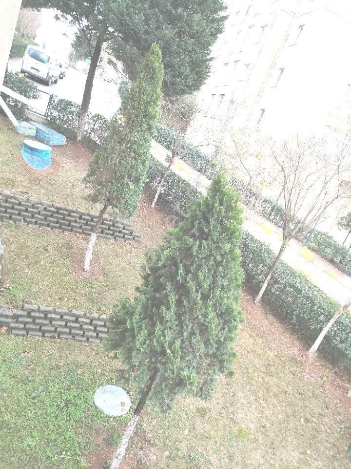 İstanbul Başakşehir Kayaşehirde 10.bölgede Satılık 3+1 Kot Farkından 2.kat Gibi Y.giriş Sitede Daire - Görsel 29