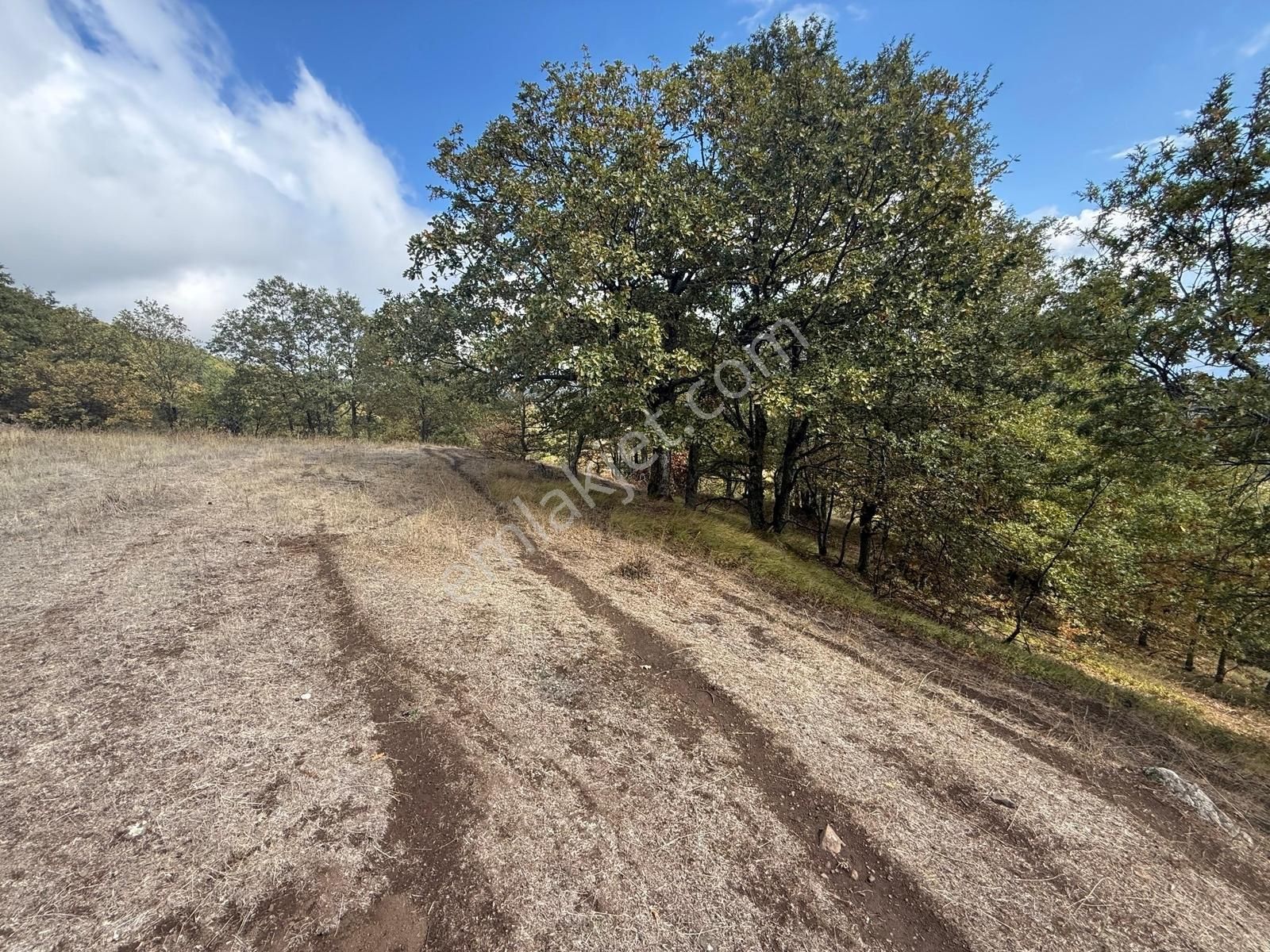 İznik Osmaniye Köye Yakın Havadar, Göl Manzaralı 10680 M2 Tarla - Görsel 18