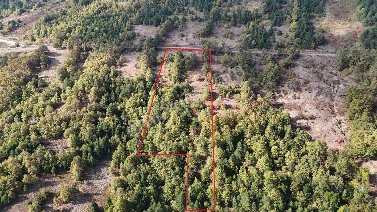 İznik Osmaniye Köye Yakın Havadar, Göl Manzaralı 10680 M2 Tarla - Görsel 12