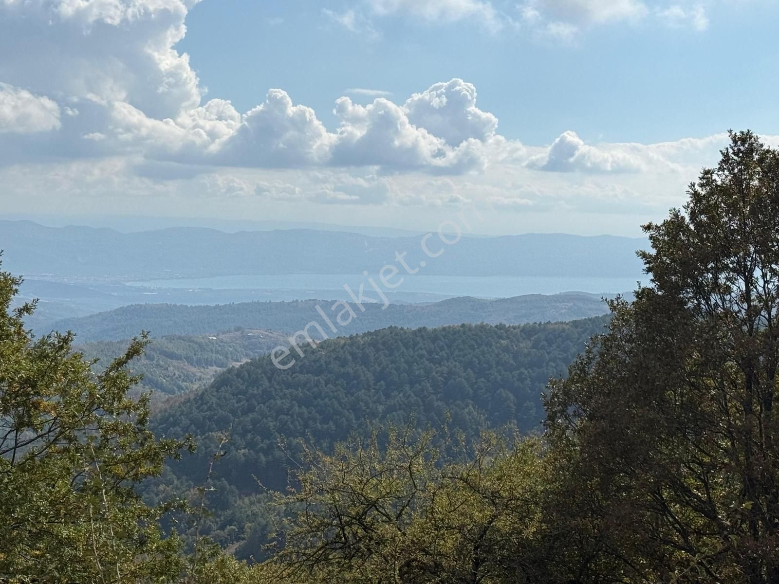 İznik Osmaniye Köye Yakın Havadar, Göl Manzaralı 10680 M2 Tarla - Görsel 16