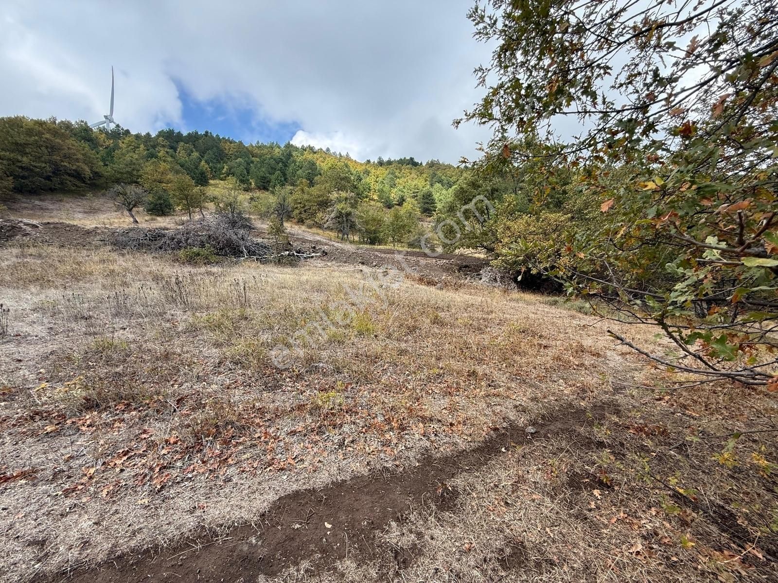 İznik Osmaniye Köye Yakın Havadar, Göl Manzaralı 10680 M2 Tarla - Görsel 19