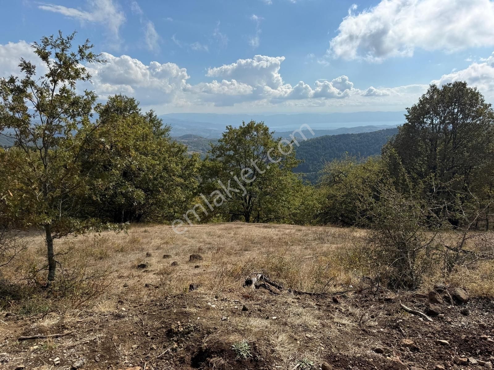 İznik Osmaniye Köye Yakın Havadar, Göl Manzaralı 10680 M2 Tarla - Görsel 7