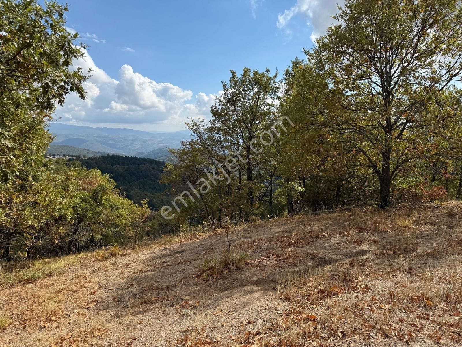 İznik Osmaniye Köye Yakın Havadar, Göl Manzaralı 10680 M2 Tarla - Görsel 25