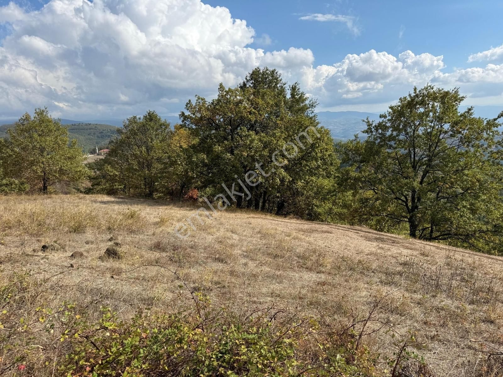 İznik Osmaniye Köye Yakın Havadar, Göl Manzaralı 10680 M2 Tarla - Görsel 2
