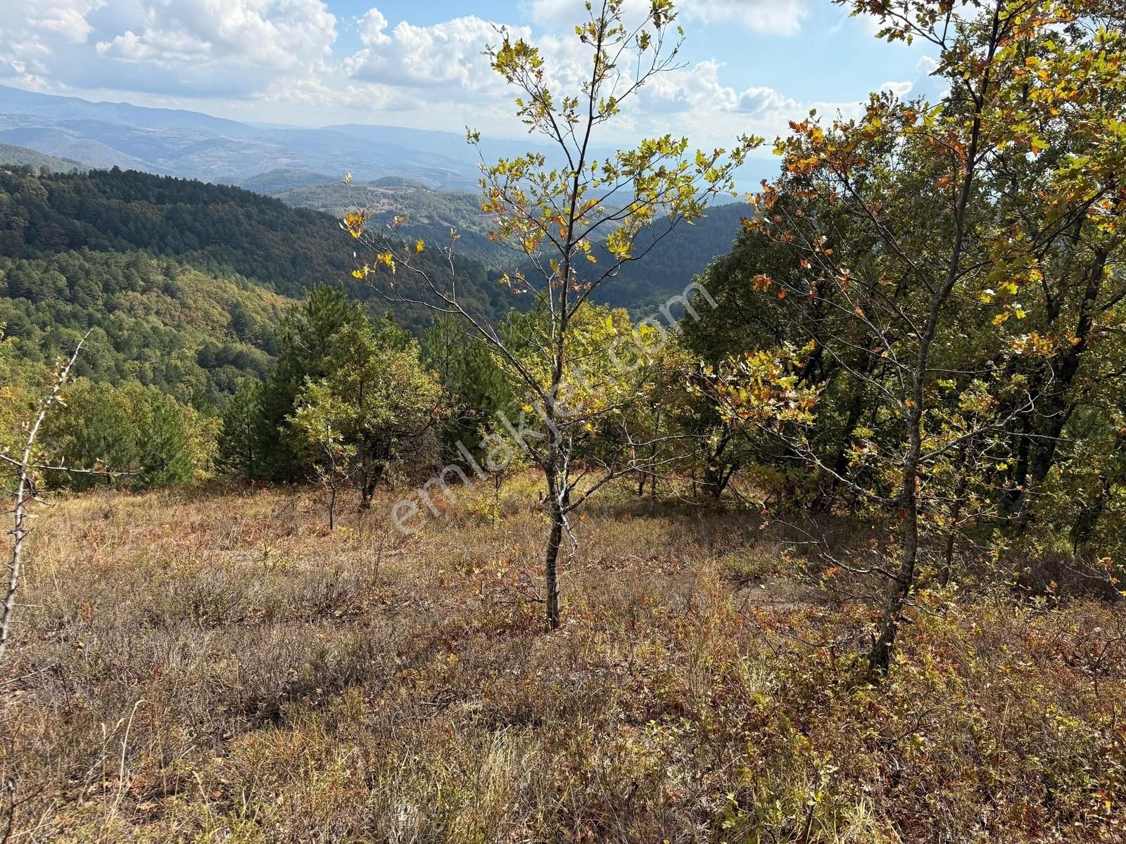 İznik Osmaniye Köye Yakın Havadar, Göl Manzaralı 10680 M2 Tarla - Görsel 23