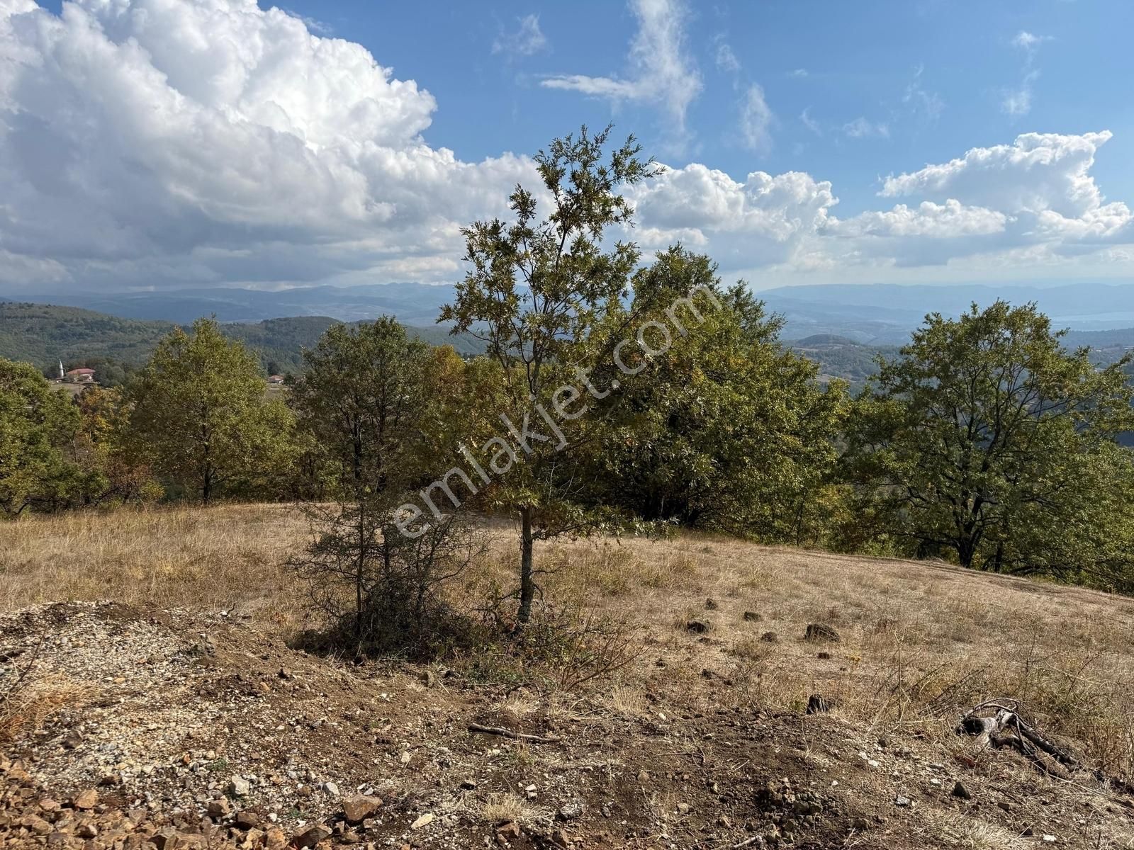 İznik Osmaniye Köye Yakın Havadar, Göl Manzaralı 10680 M2 Tarla - Görsel 15