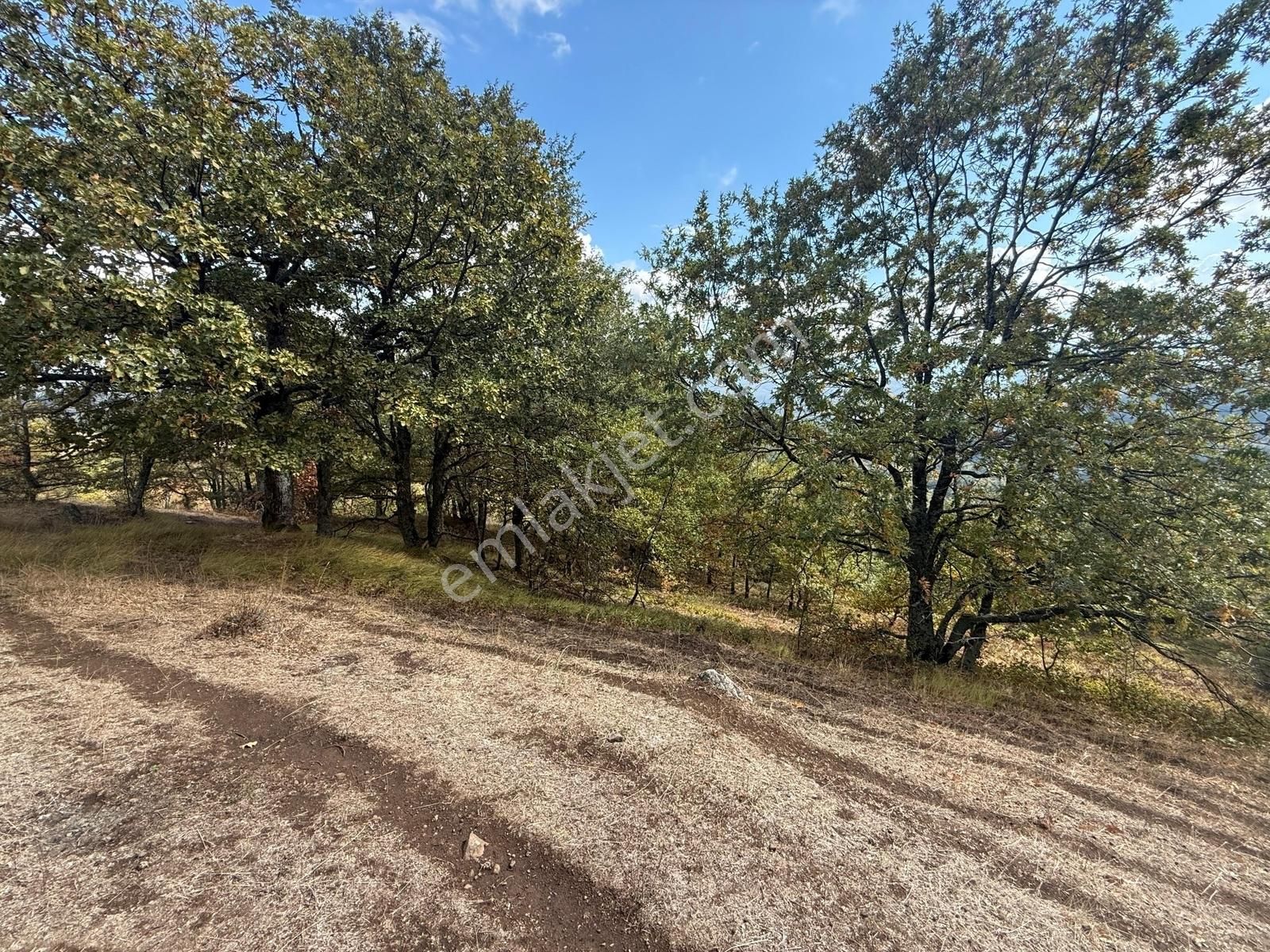 İznik Osmaniye Köye Yakın Havadar, Göl Manzaralı 10680 M2 Tarla - Görsel 20