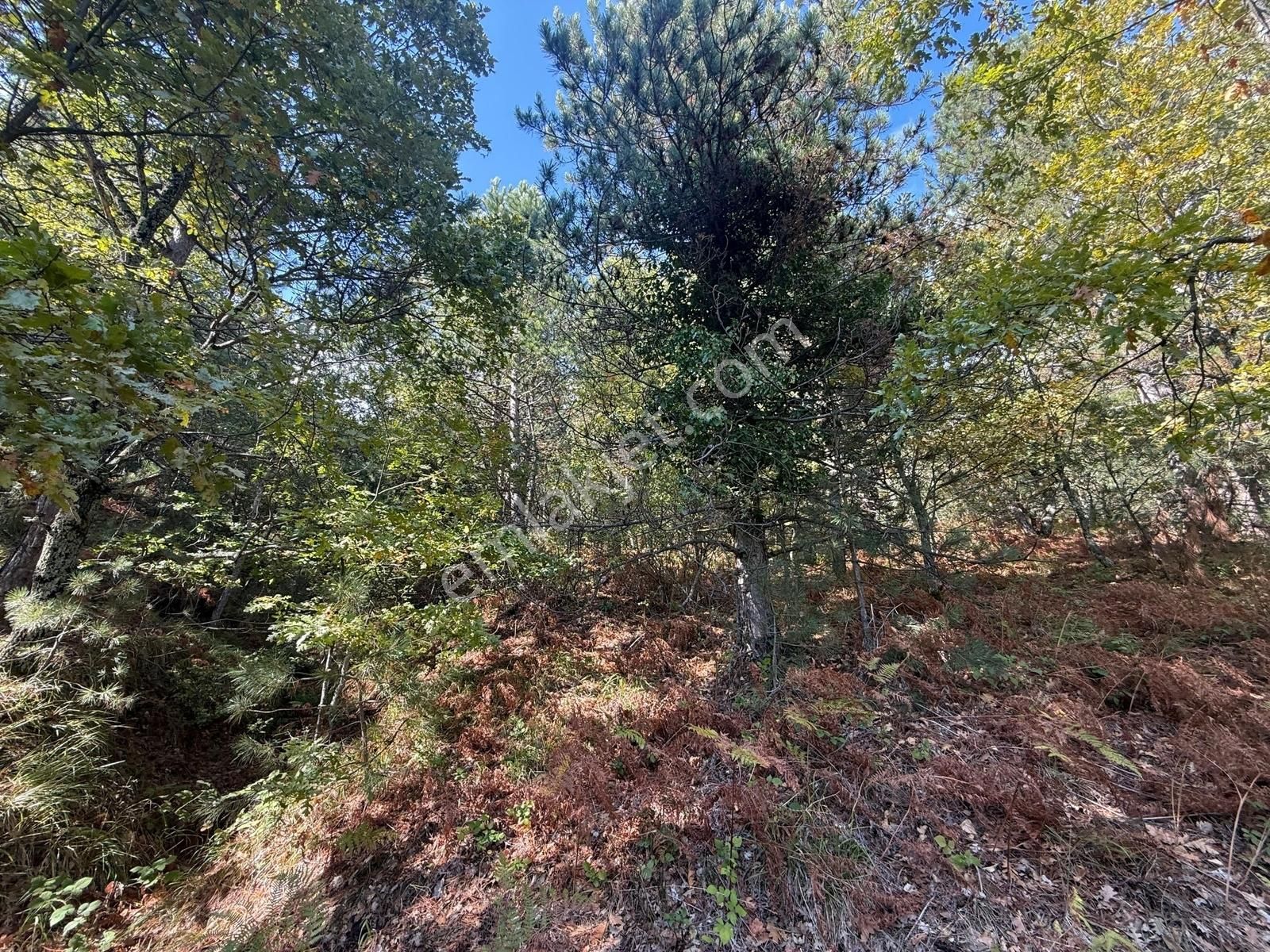 İznik Osmaniye Köye Yakın Havadar, Göl Manzaralı 10680 M2 Tarla - Görsel 29