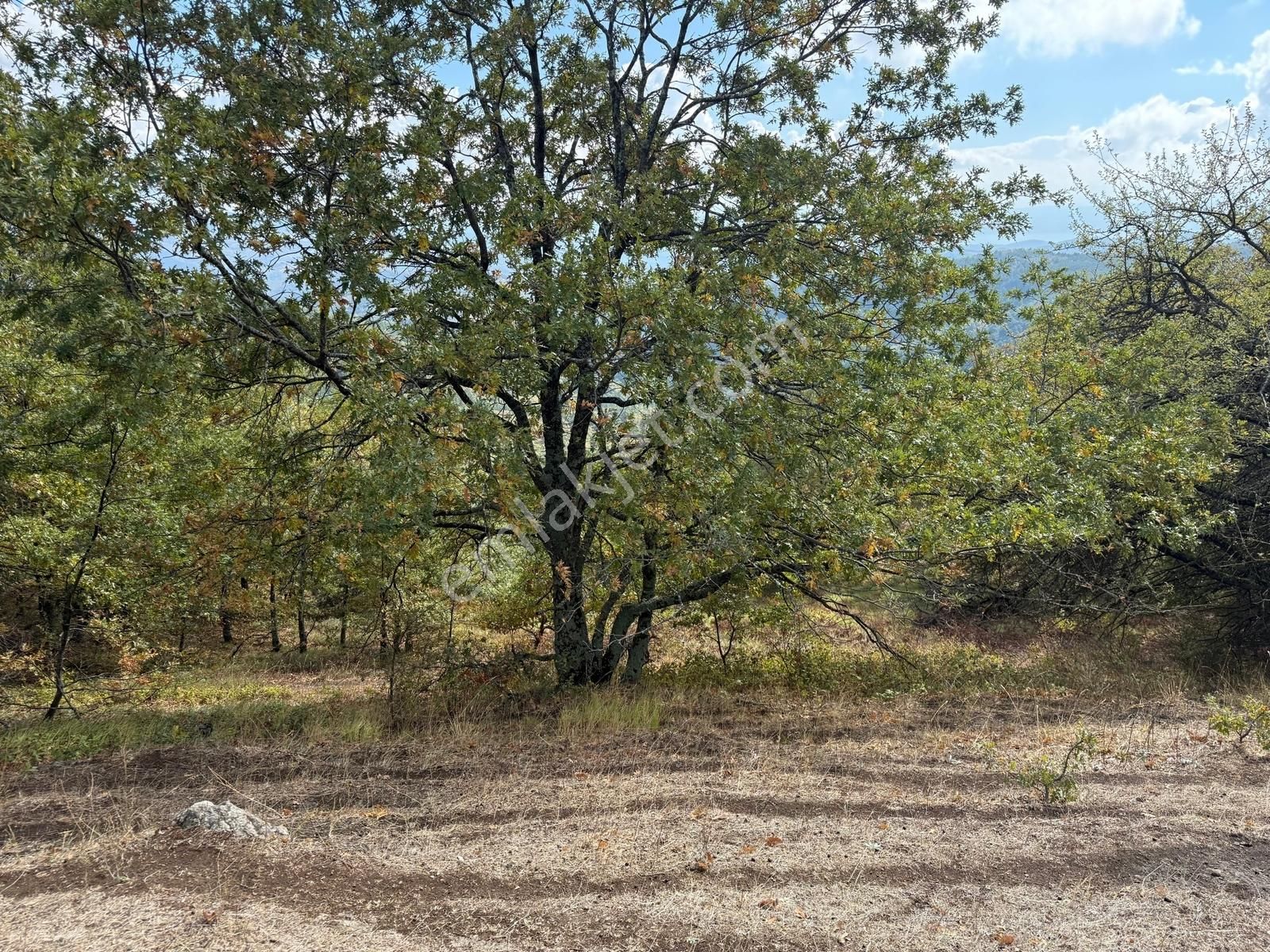 İznik Osmaniye Köye Yakın Havadar, Göl Manzaralı 10680 M2 Tarla - Görsel 21