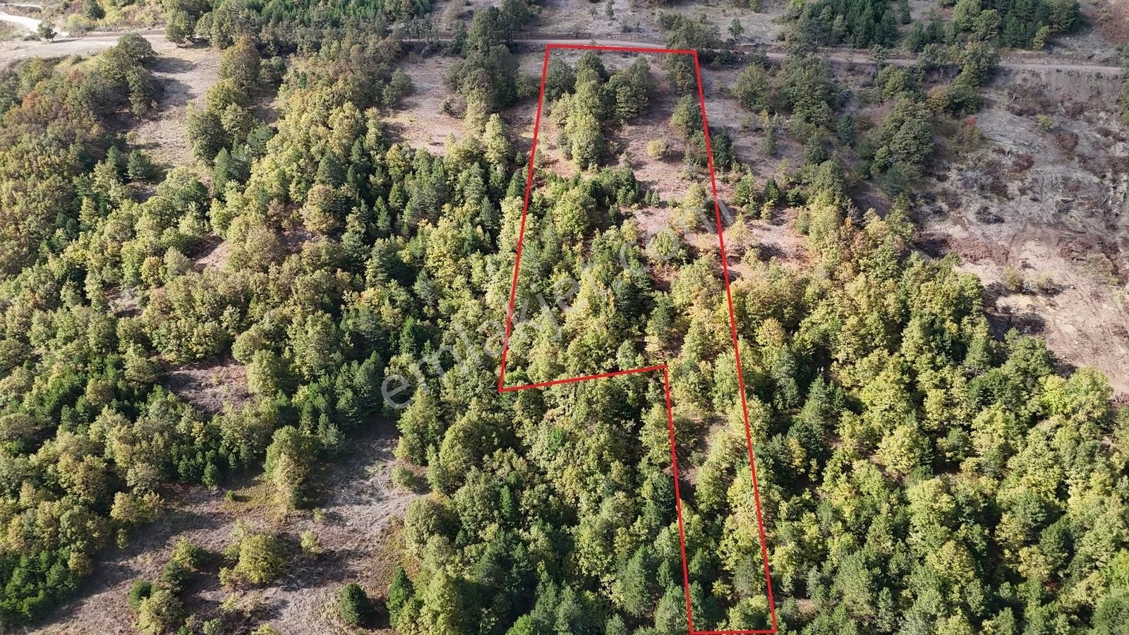 İznik Osmaniye Köye Yakın Havadar, Göl Manzaralı 10680 M2 Tarla - Görsel 31