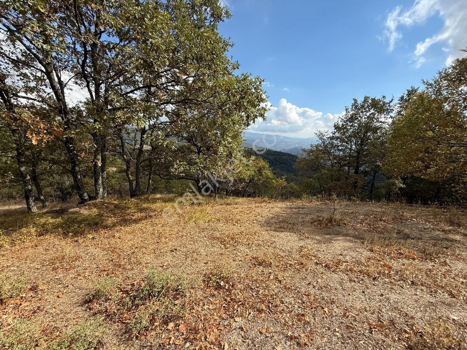 İznik Osmaniye Köye Yakın Havadar, Göl Manzaralı 10680 M2 Tarla - Görsel 24
