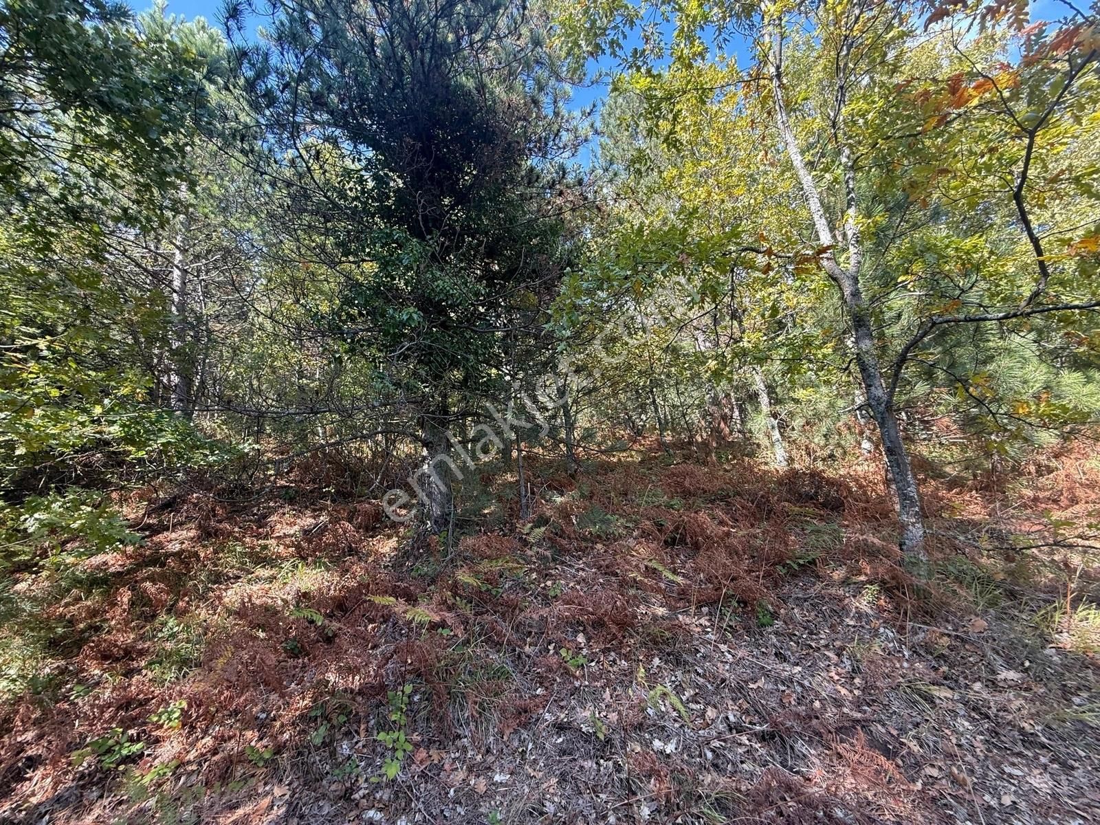İznik Osmaniye Köye Yakın Havadar, Göl Manzaralı 10680 M2 Tarla - Görsel 28