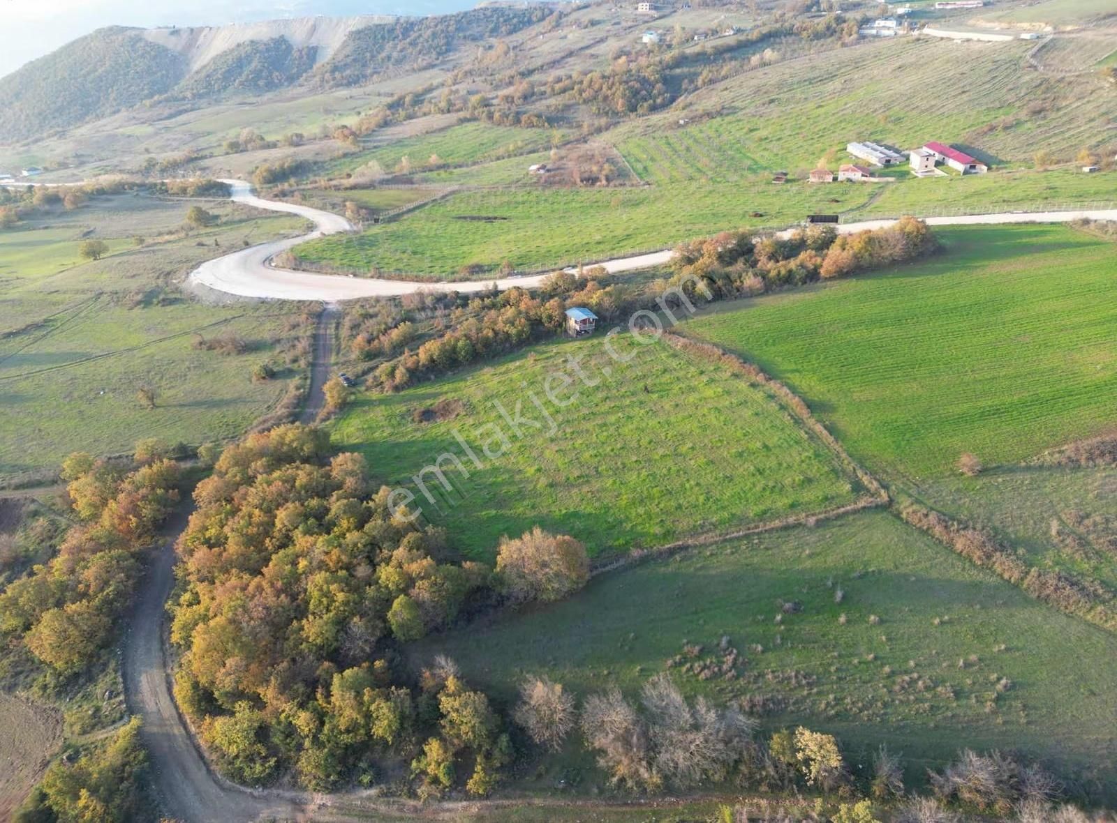 Bu Fiyata Bu Bölgede Böyle Arazi Yok.. - Görsel 5