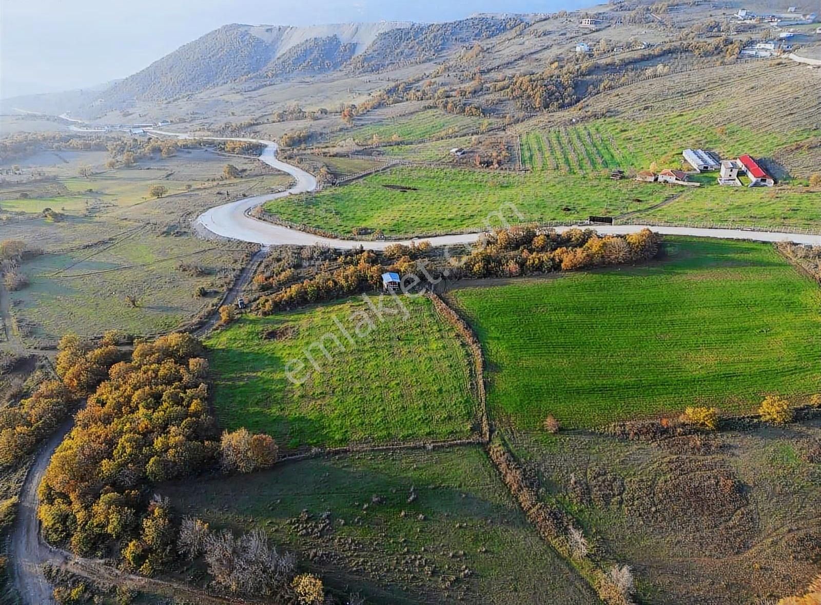 Bu Fiyata Bu Bölgede Böyle Arazi Yok..