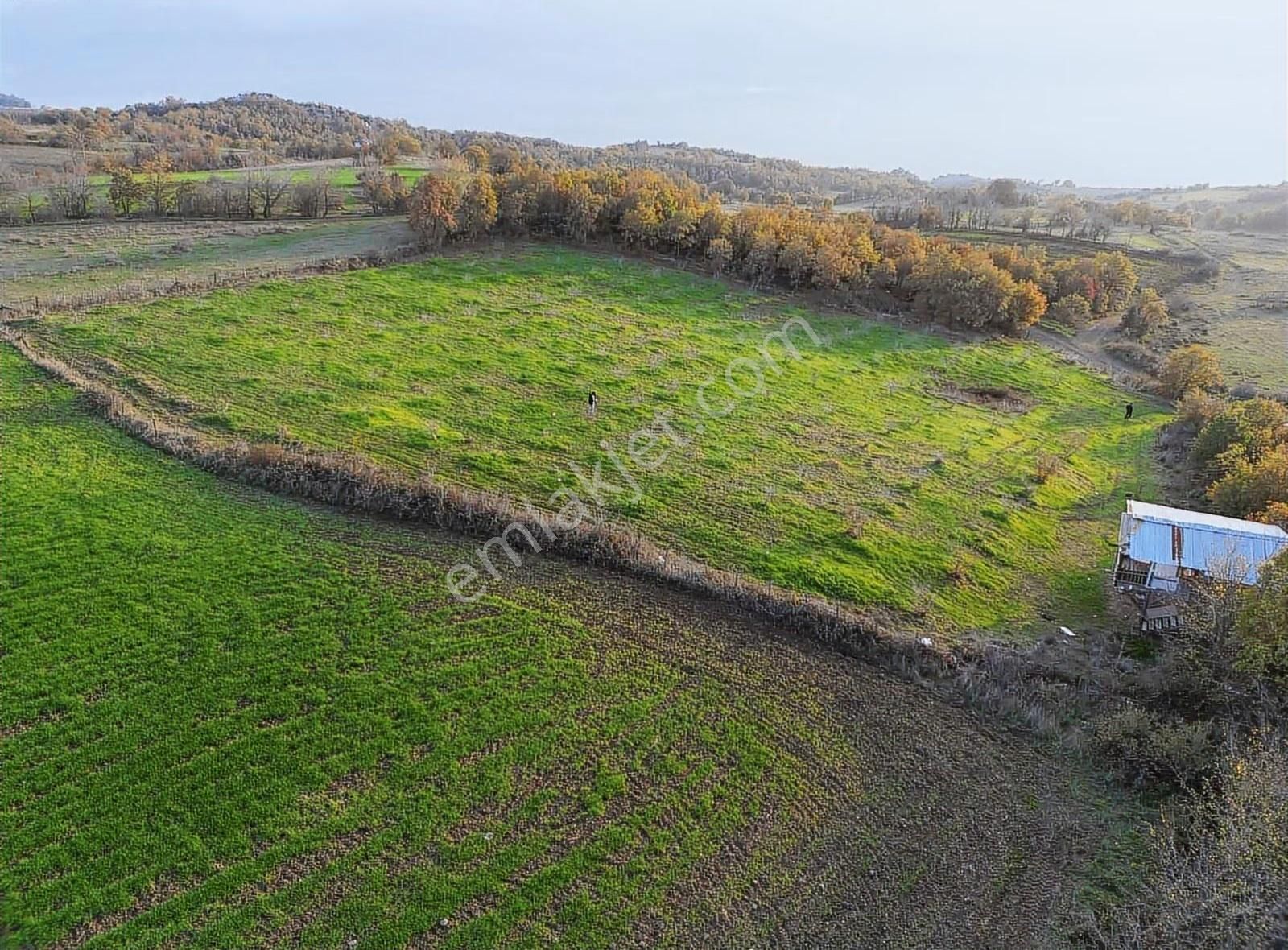 Bu Fiyata Bu Bölgede Böyle Arazi Yok.. - Görsel 3