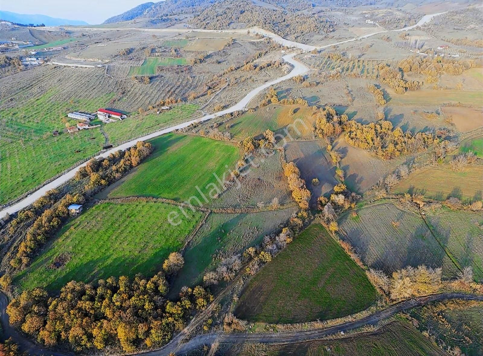 Bu Fiyata Bu Bölgede Böyle Arazi Yok.. - Görsel 6