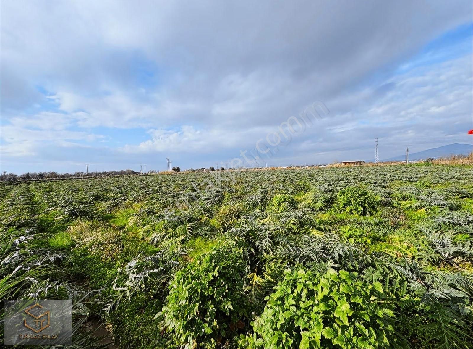 Menemen Ahıhıdır Da Satılık 10.000 M² Tarla Ve 2+1 Ruhsatlı Ev - Görsel 3