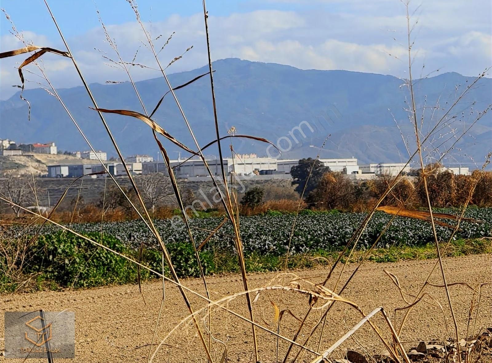 Menemen Ahıhıdır Da Satılık 10.000 M² Tarla Ve 2+1 Ruhsatlı Ev - Görsel 6
