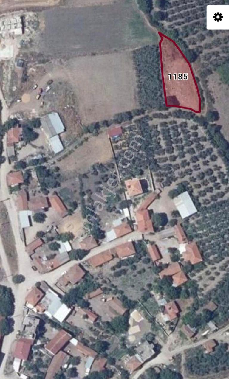 Balıkesir Gönen Gebeçınar Mahallesinde