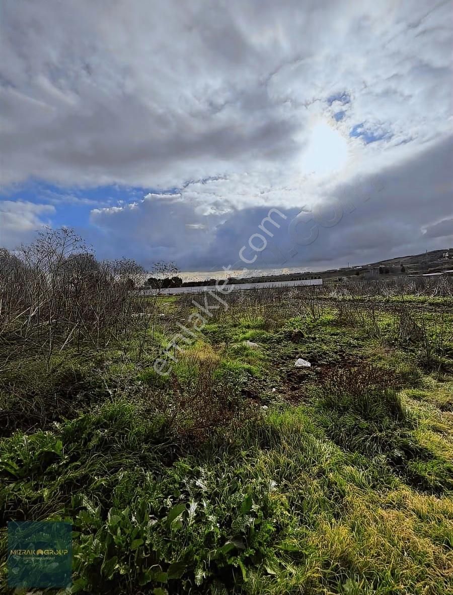 Yolçatıda Asfalt Yola Cepheli Hisseli Satılık Tarla
