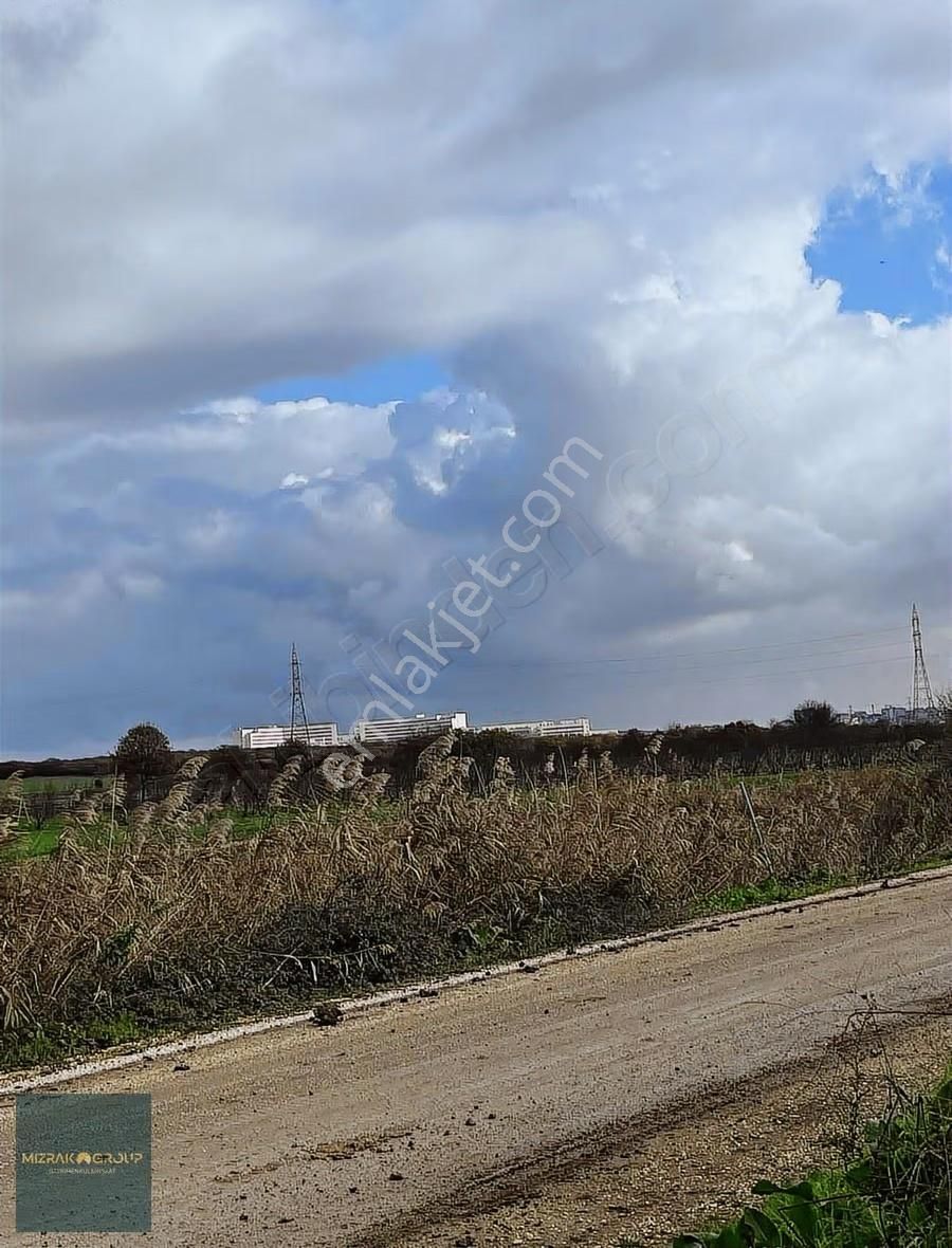 Yolçatıda Asfalt Yola Cepheli Hisseli Satılık Tarla - Görsel 7