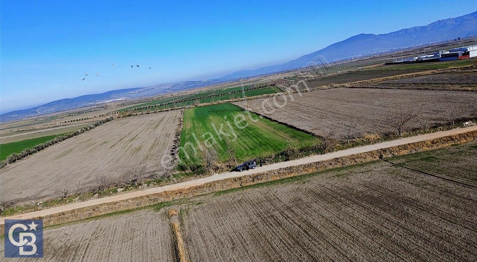 Menemen Kesik 9006m2 Tek Tapu Yola Cephe Depo Yapımına Uygun - Görsel 17
